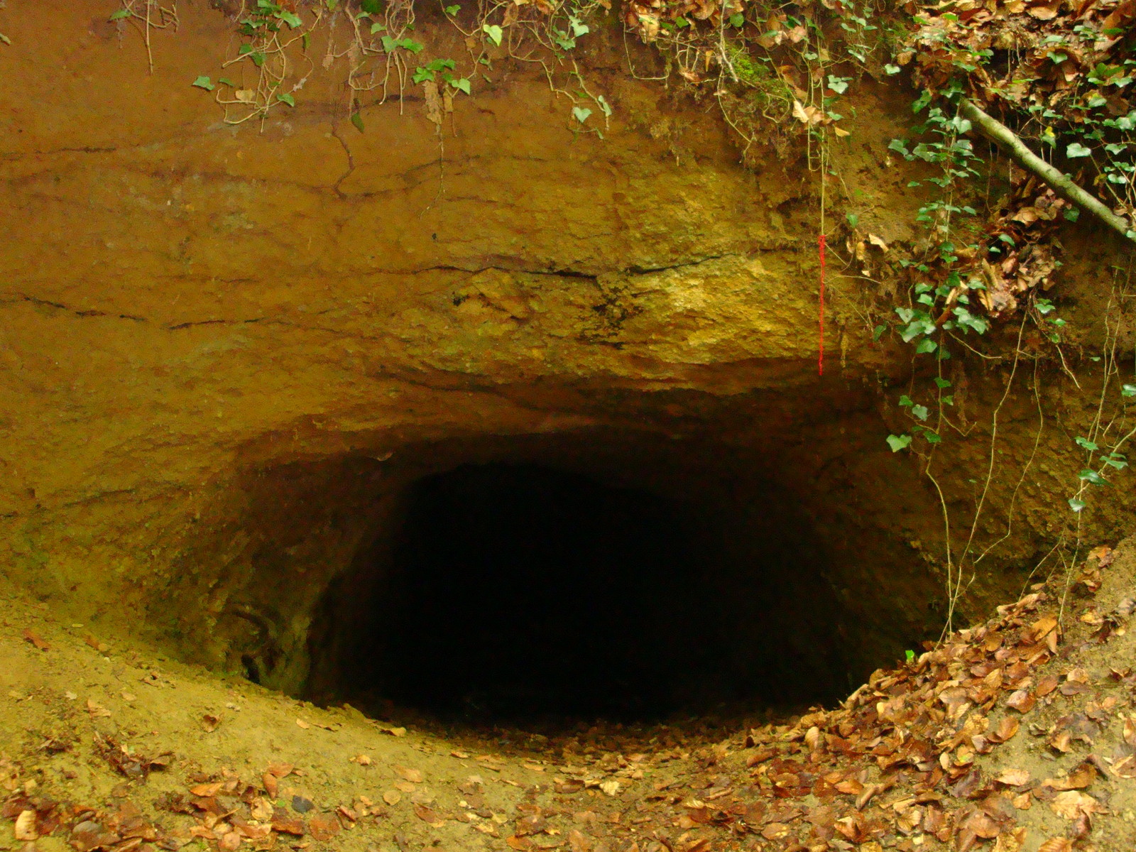 Drachenburg Cave